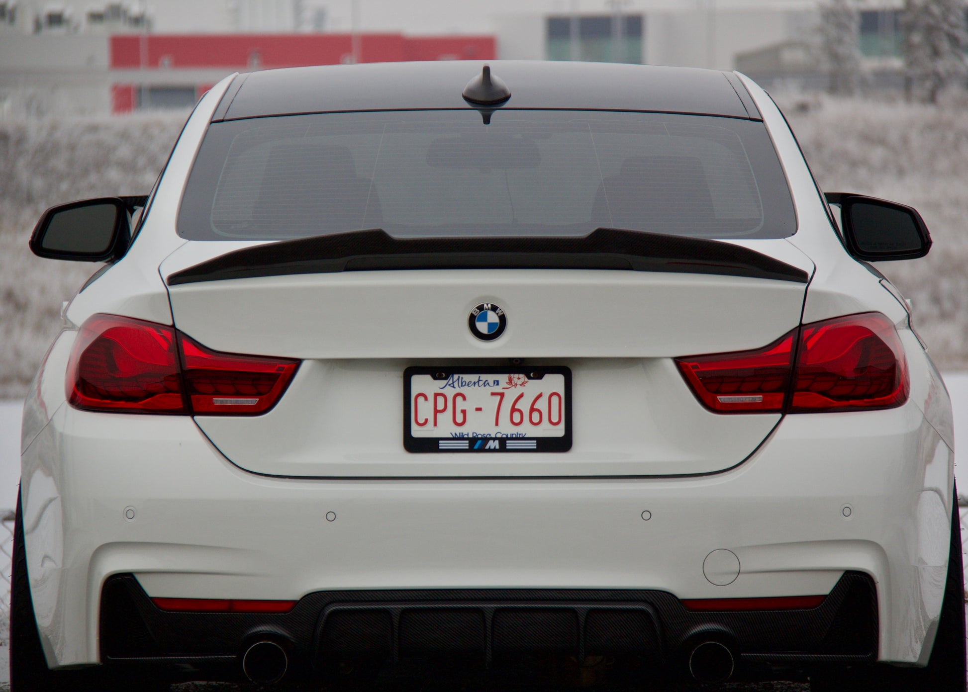 EuroCarbon BMW Carbon Fiber Spoiler for F32 PSM Style Installed rear